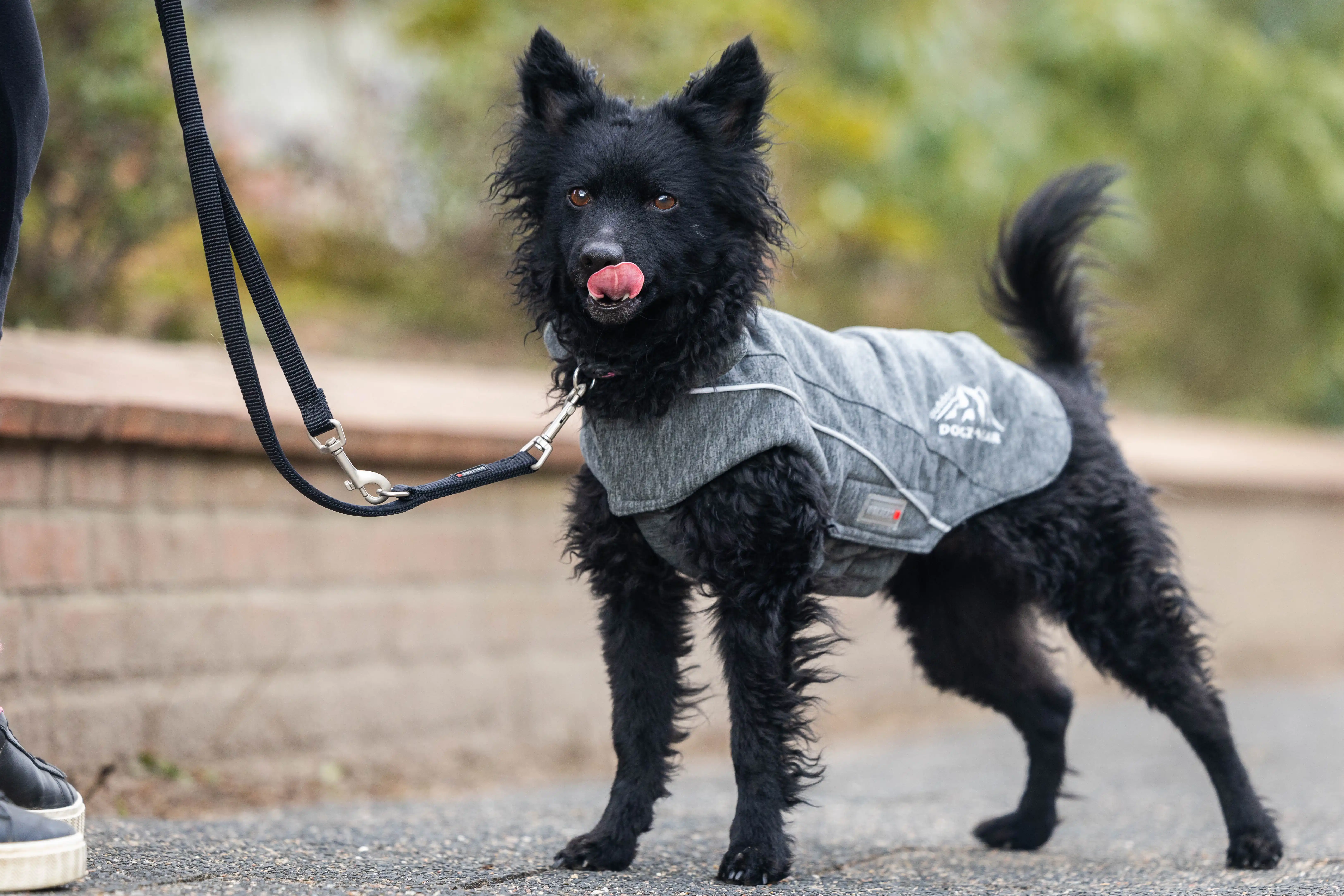 Fleecejacke Dogz-Wear